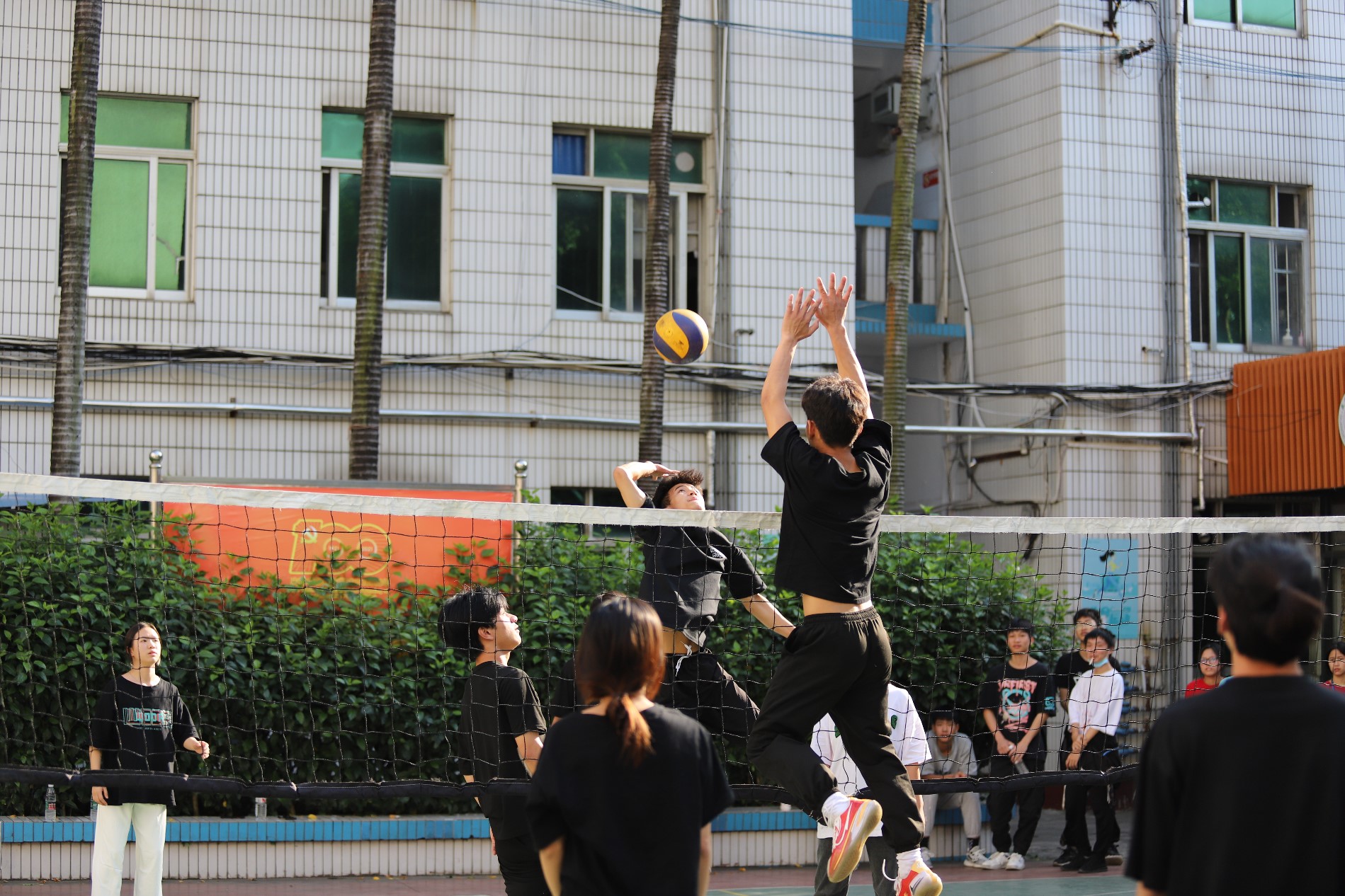 IMG_3847.JPG IMG_3847.JPG