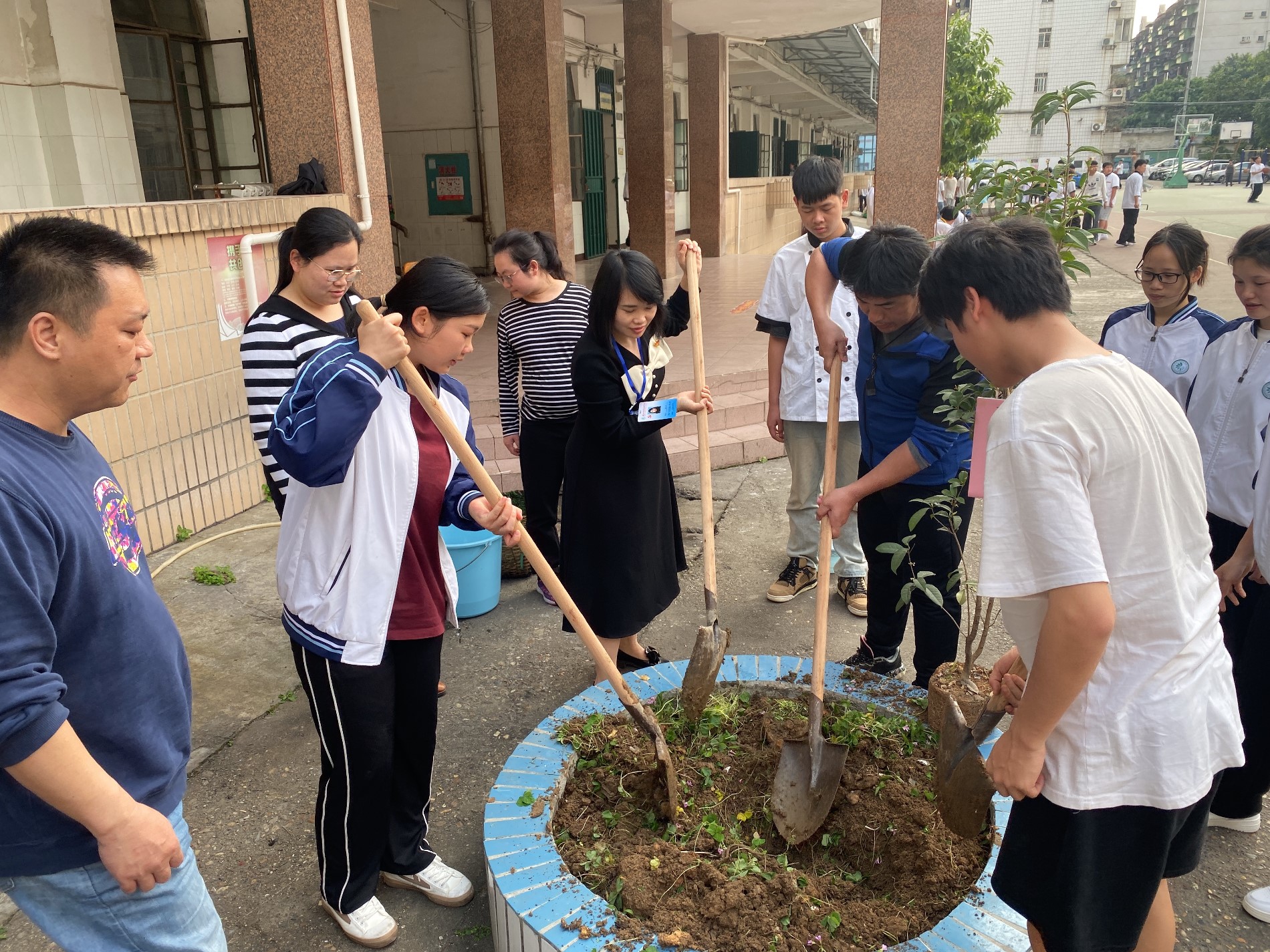 师生共植弘德树.jpg 师生共植弘德树.jpg
