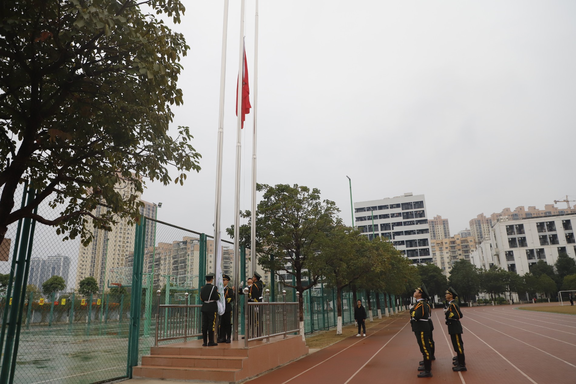_MG_5365.JPG _MG_5365.JPG